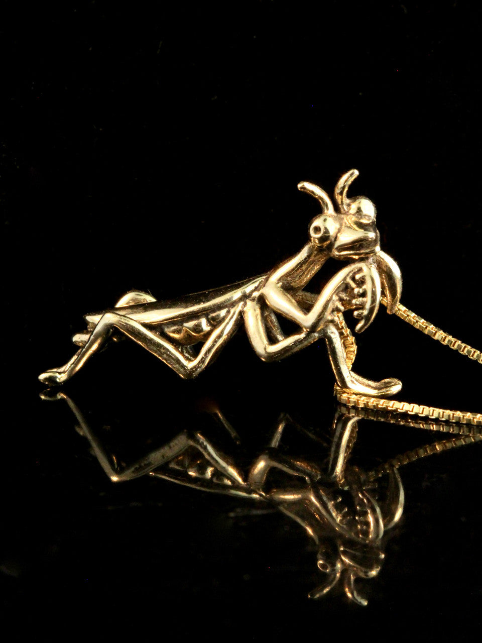 Praying Mantis Charm - 14k Gold – Marty Magic Jewelry