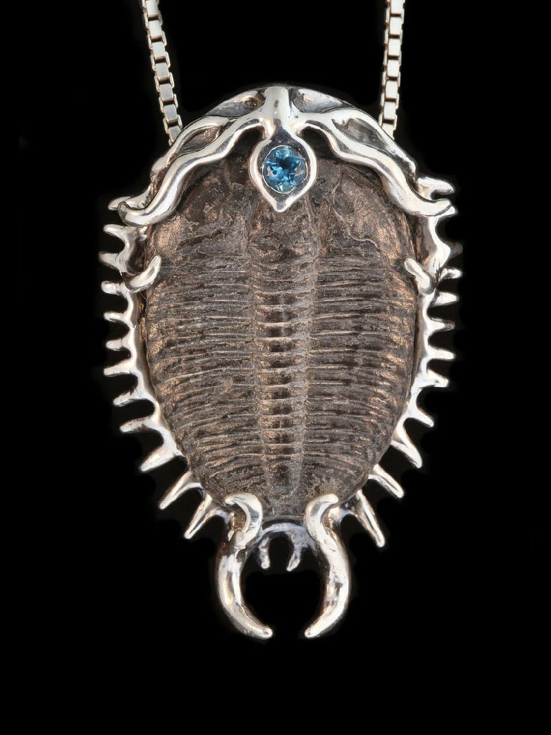 Fossil Collection