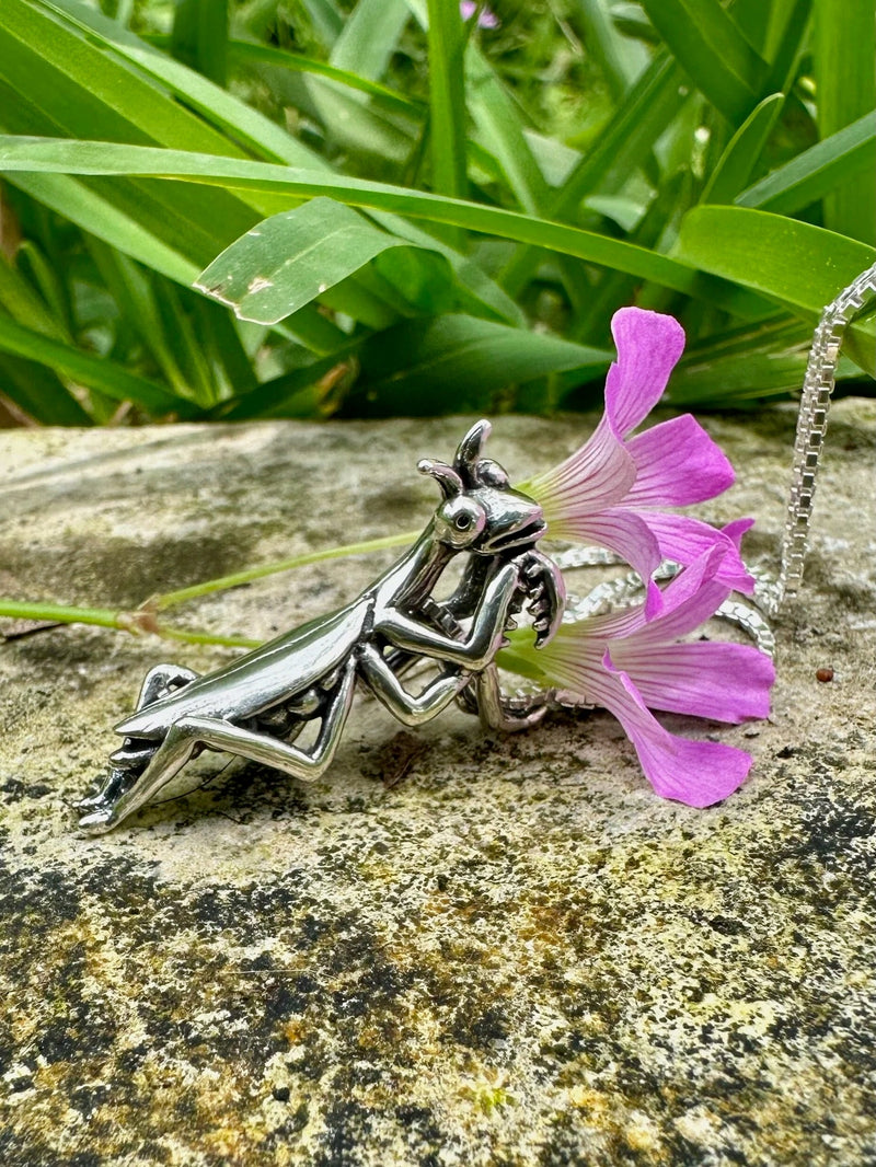 Insect Jewelry
