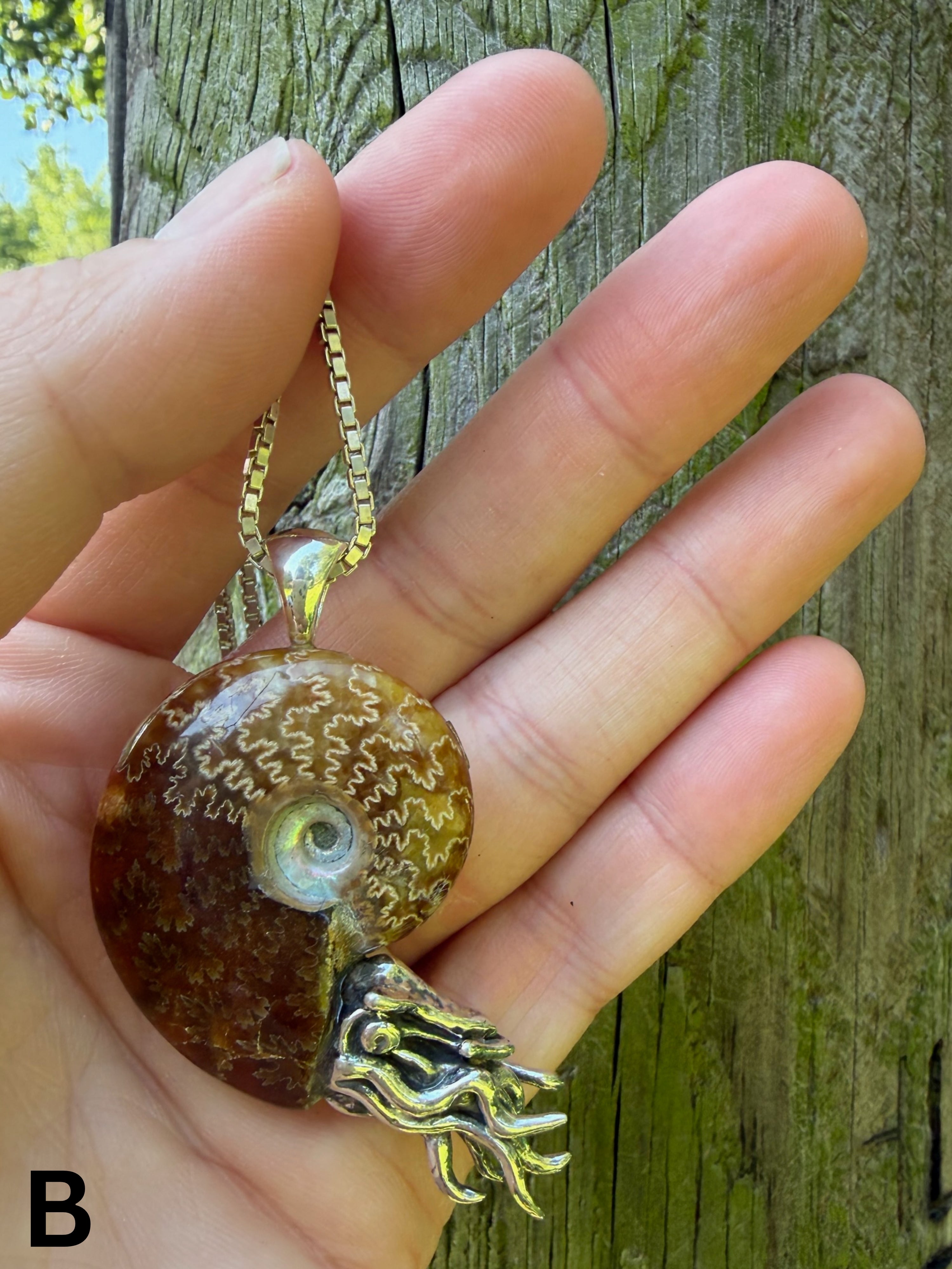 Fossilized Ammonite Nautilus Necklace with Jade Pattern - Sterling Silver