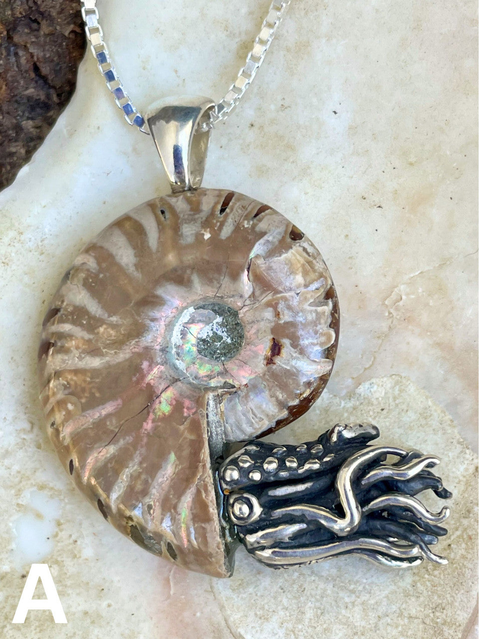Fossilized Ammonite Nautilus Necklace