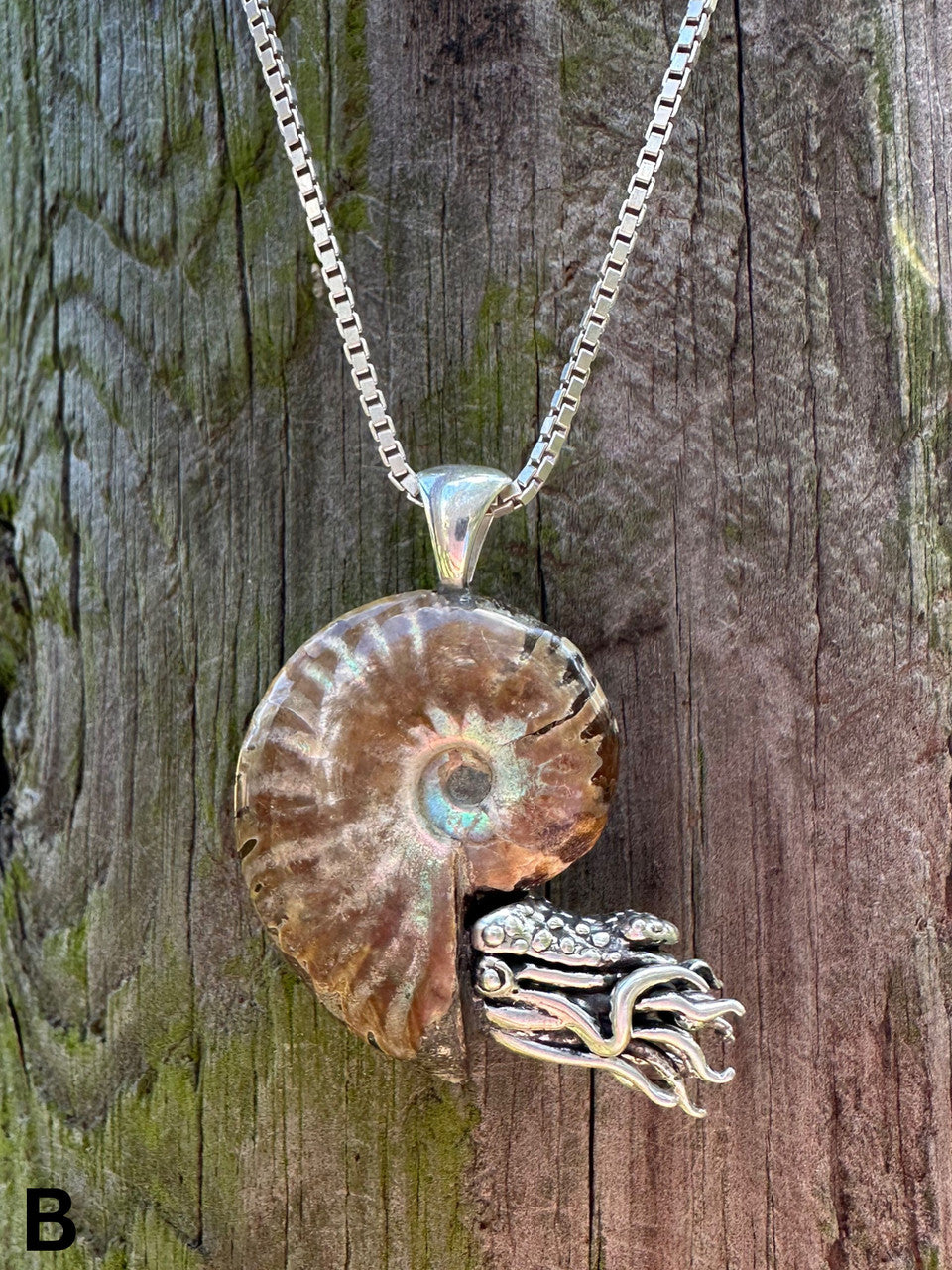 Fossilized Ammonite Nautilus Necklace