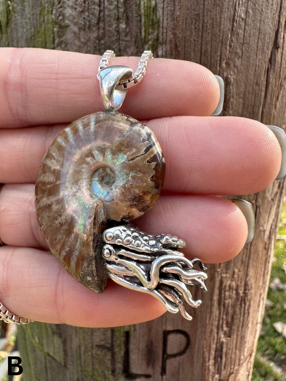 Fossilized Ammonite Nautilus Necklace