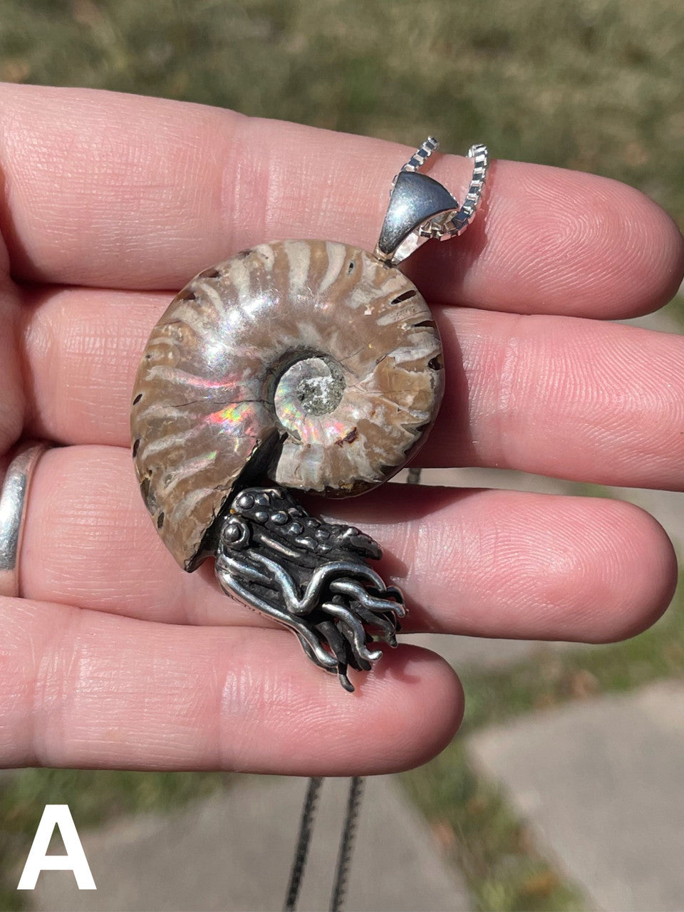 Fossilized Ammonite Nautilus Necklace