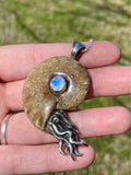 Fossilized Ammonite Nautilus Necklace with 8mm Rainbow Moonstone - Silver 