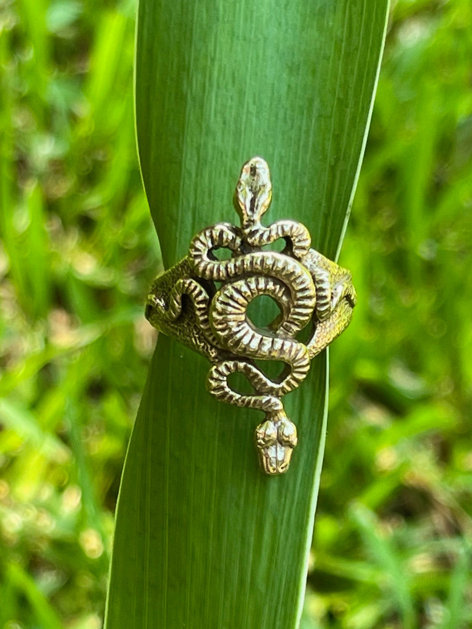 Alpha Omega Snake Ring - 14K gold
