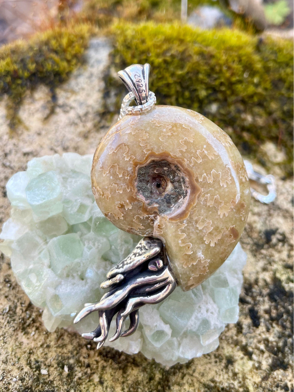 Fossilized Ammonite Nautilus Necklace with 8mm Rainbow Moonstone - Silver 