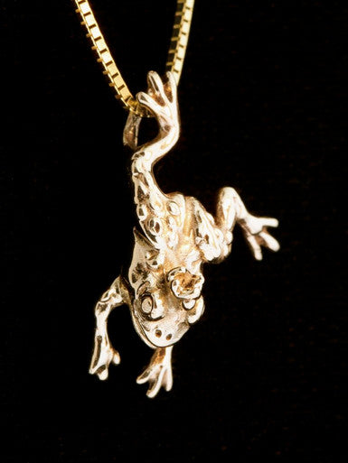 Enchanted Frog Charm - 14K Gold