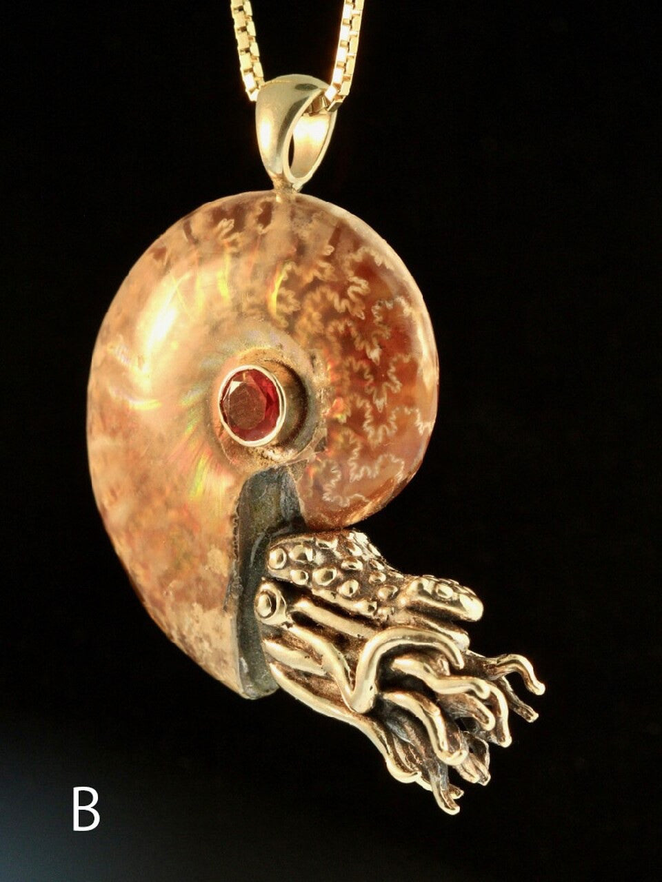 Fossilized Ammonite Nautilus Necklace w/ Mexican Fire Opal