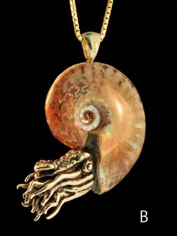 Fossilized Ammonite Nautilus Necklace w/ Mexican Fire Opal