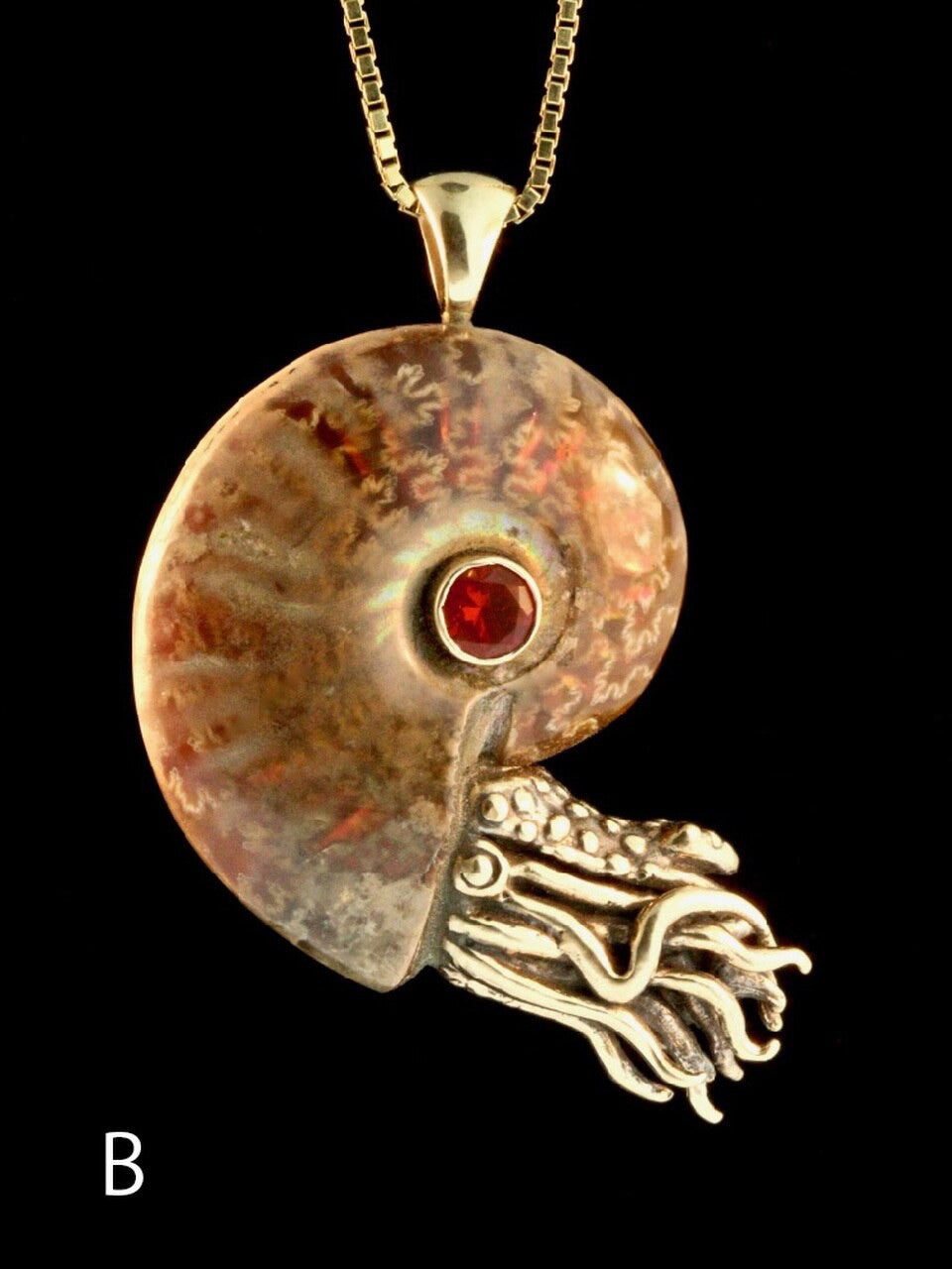 Fossilized Ammonite Nautilus Necklace w/ Mexican Fire Opal