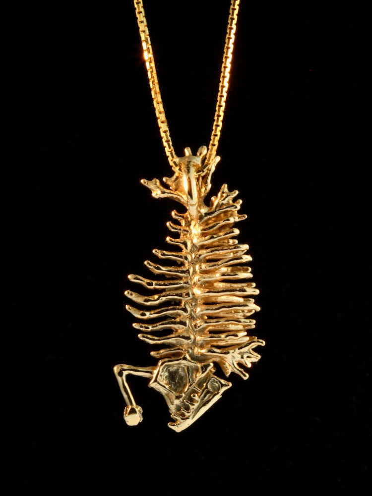 Phantom Fish - 14k Gold