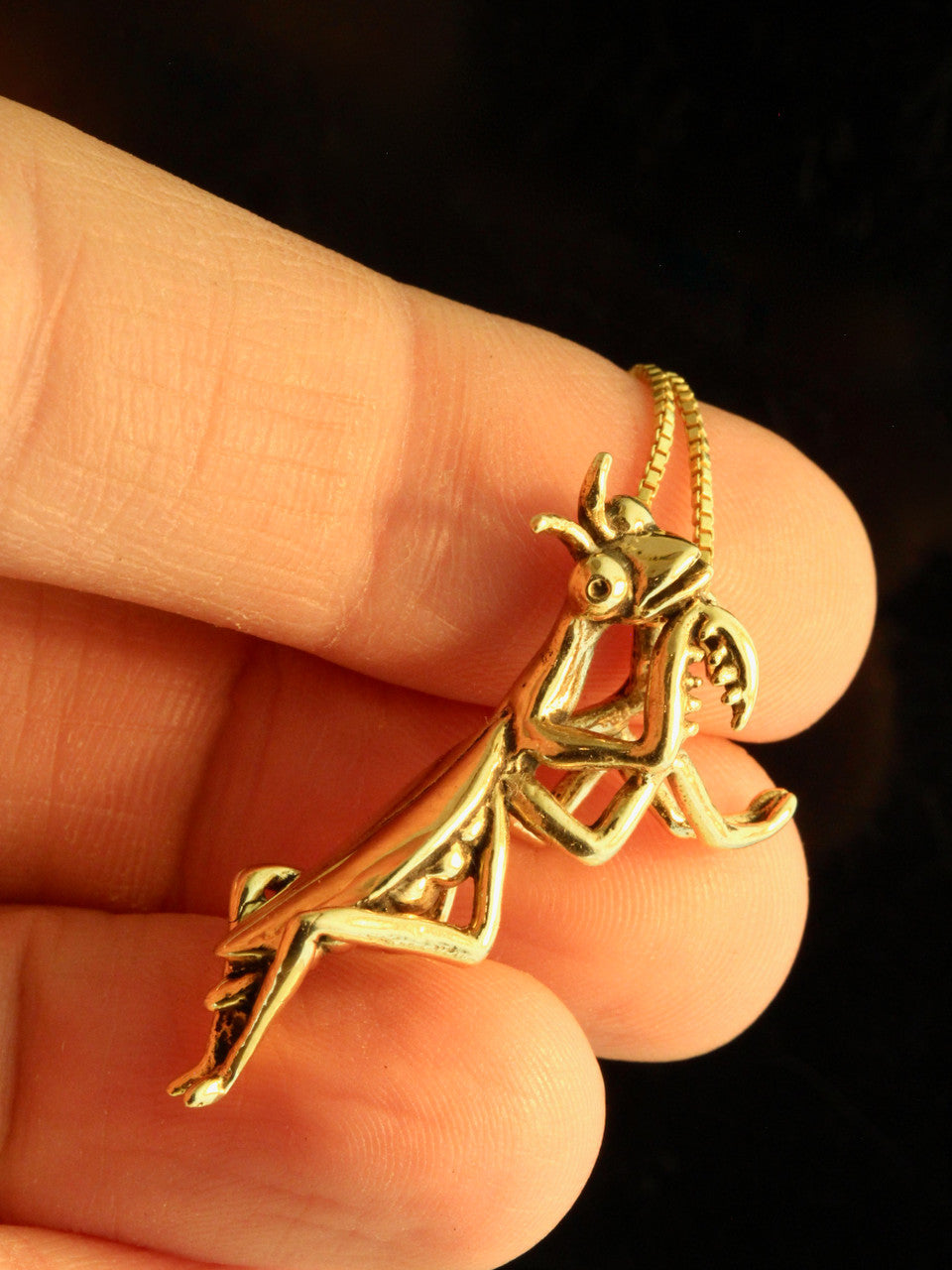 Praying Mantis Charm - 14k Gold