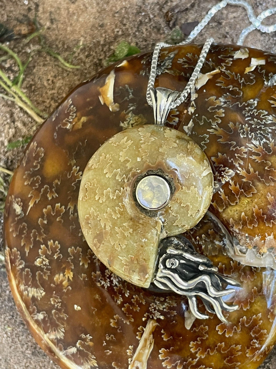 Fossilized Ammonite Nautilus Necklace with 8mm Rainbow Moonstone - Silver 