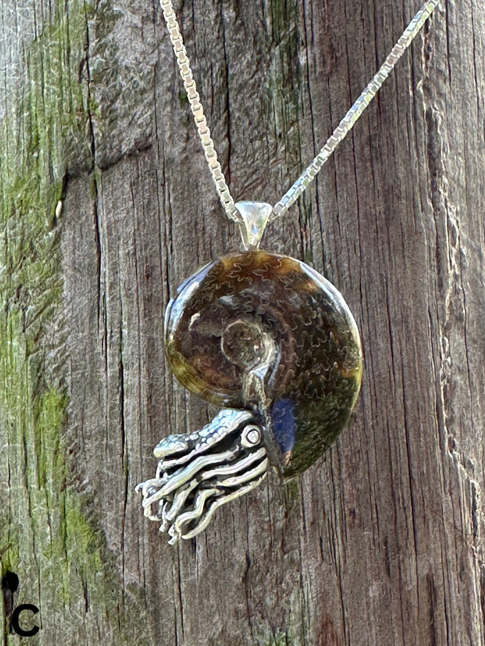 Fossilized Ammonite Nautilus Necklace
