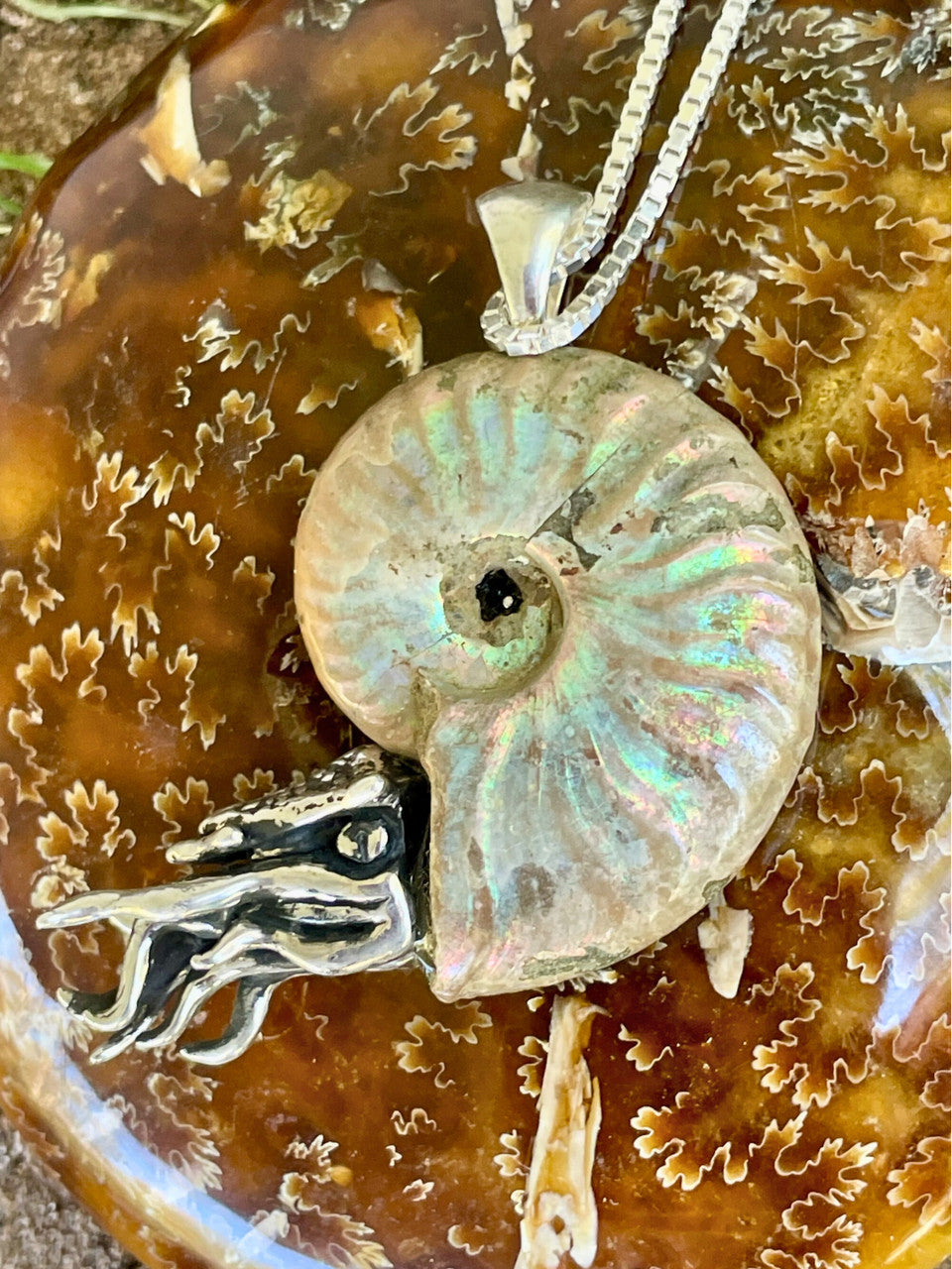 Rainbow Fossilized Ammonite Nautilus Necklace with Pink Tourmaline - Sterling Silver