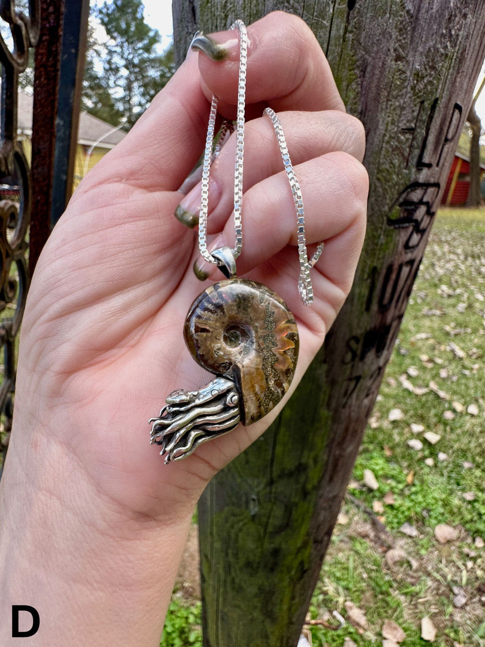 Fossilized Ammonite Nautilus Necklace