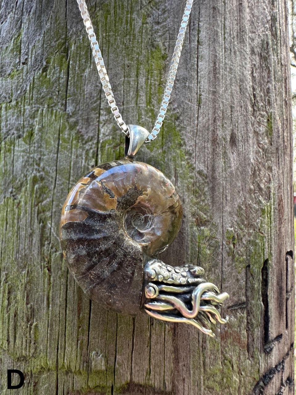 Fossilized Ammonite Nautilus Necklace