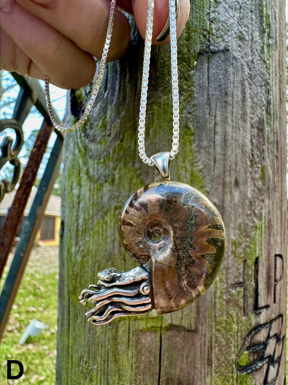 Fossilized Ammonite Nautilus Necklace