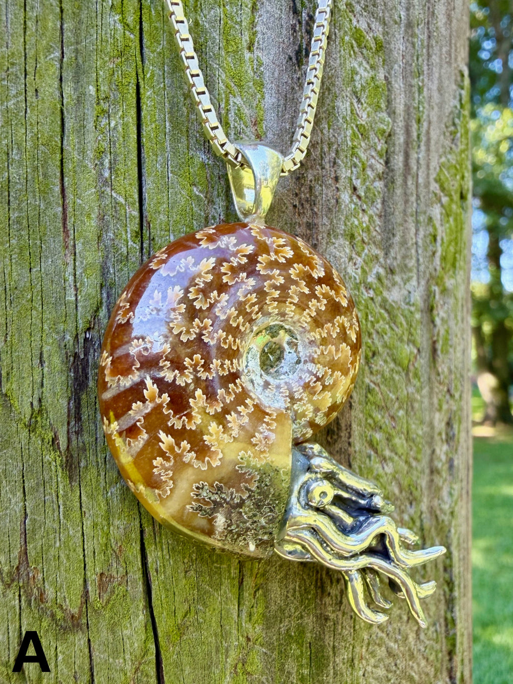 Fossilized Ammonite Nautilus Necklace with Jade Pattern - Sterling Silver