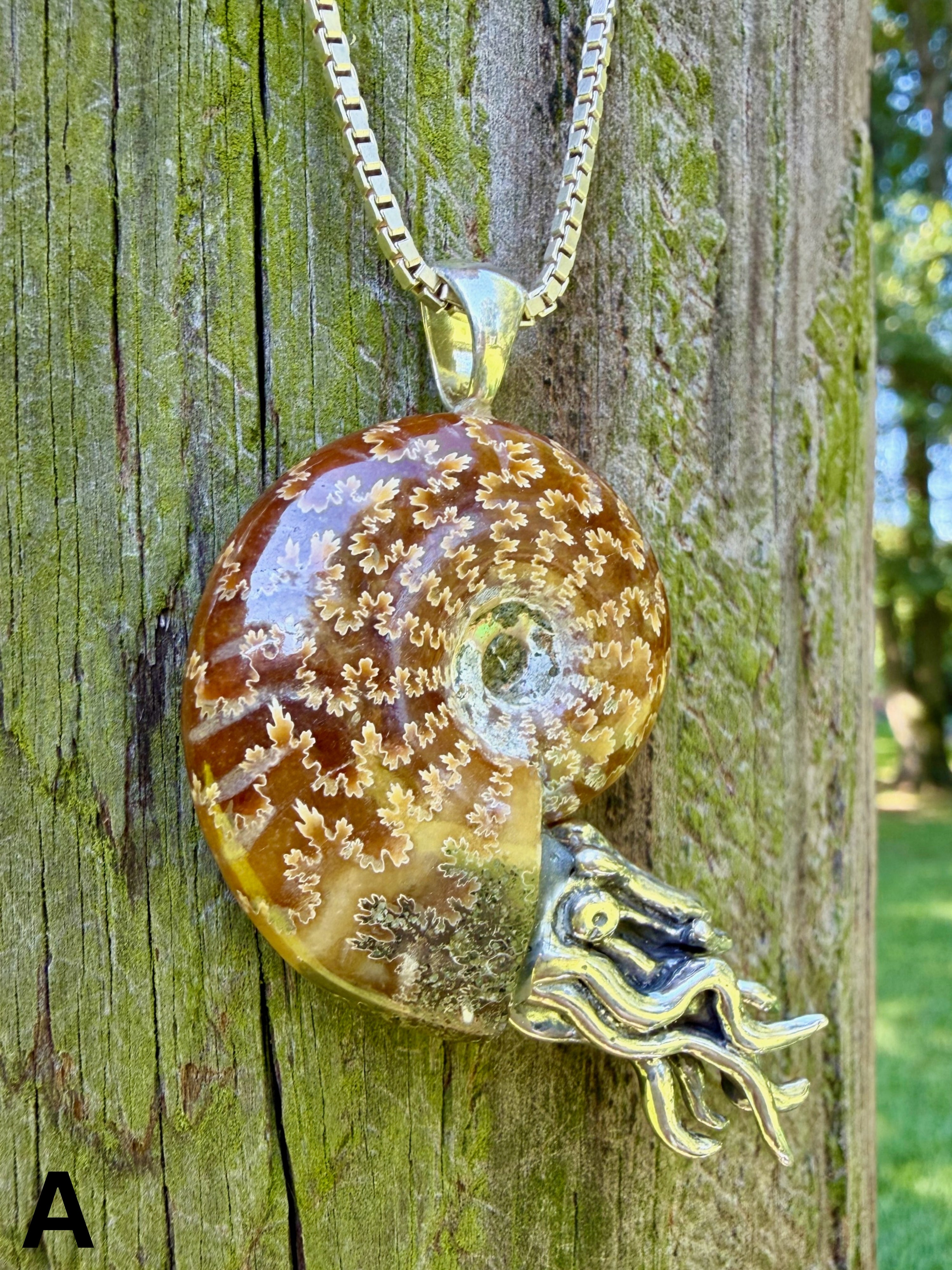 Fossilized Ammonite Nautilus Necklace with Jade Pattern - Sterling Silver