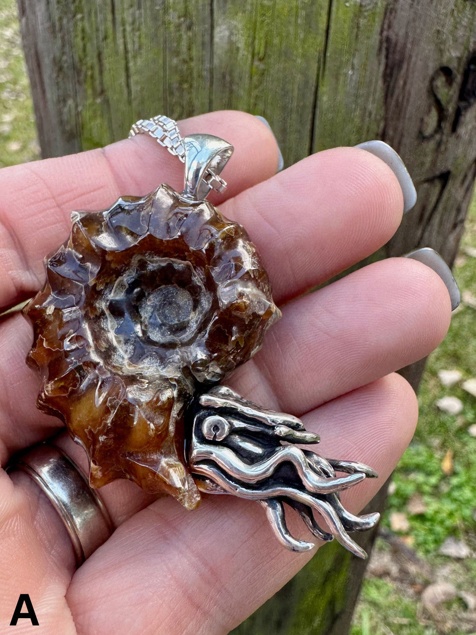 Spiky Fossilized Ammonite Nautilus Pendant