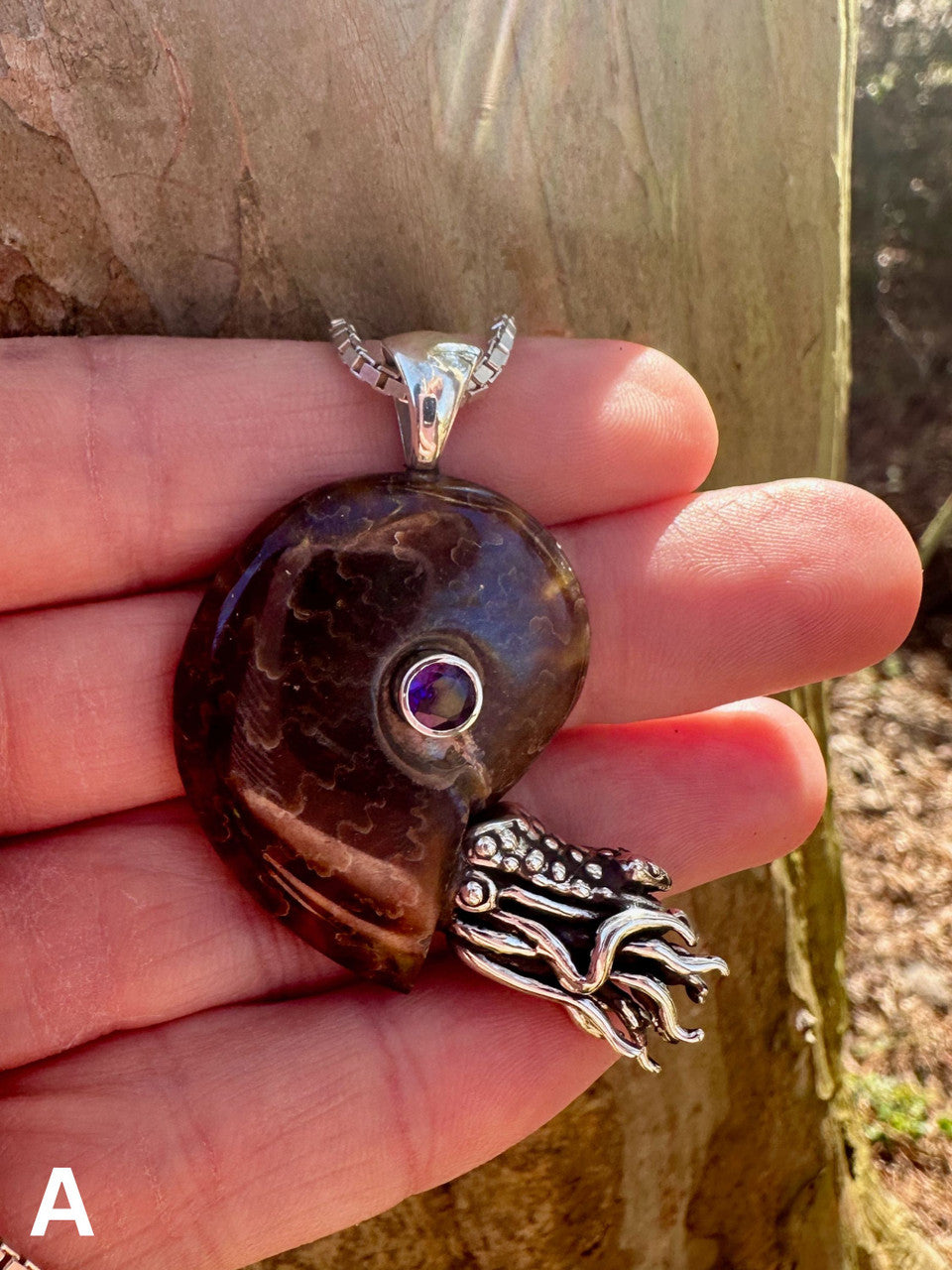 A - Fossilized Ammonite Nautilus Necklace with Amethyst