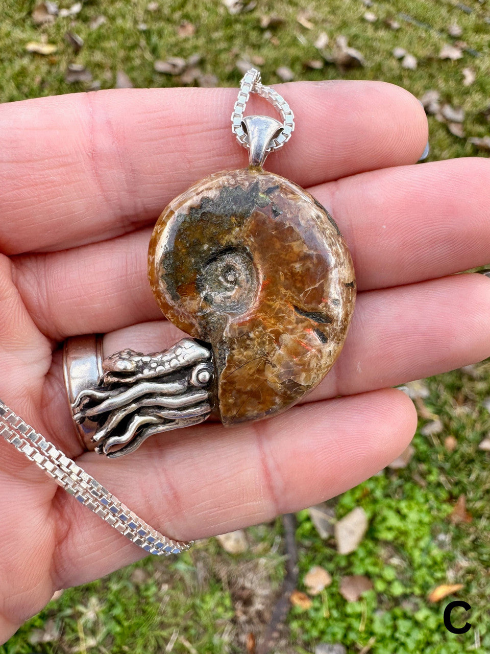 C - Fossilized Ammonite Nautilus Necklace with Citrine