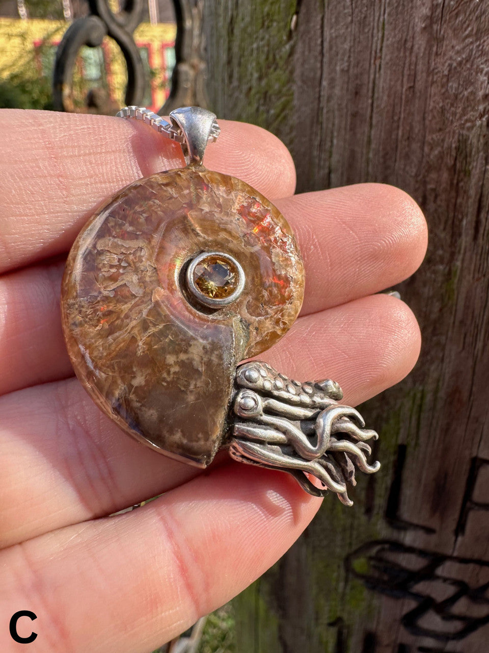 C - Fossilized Ammonite Nautilus Necklace with Citrine