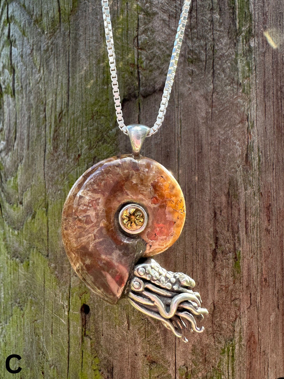 C - Fossilized Ammonite Nautilus Necklace with Citrine