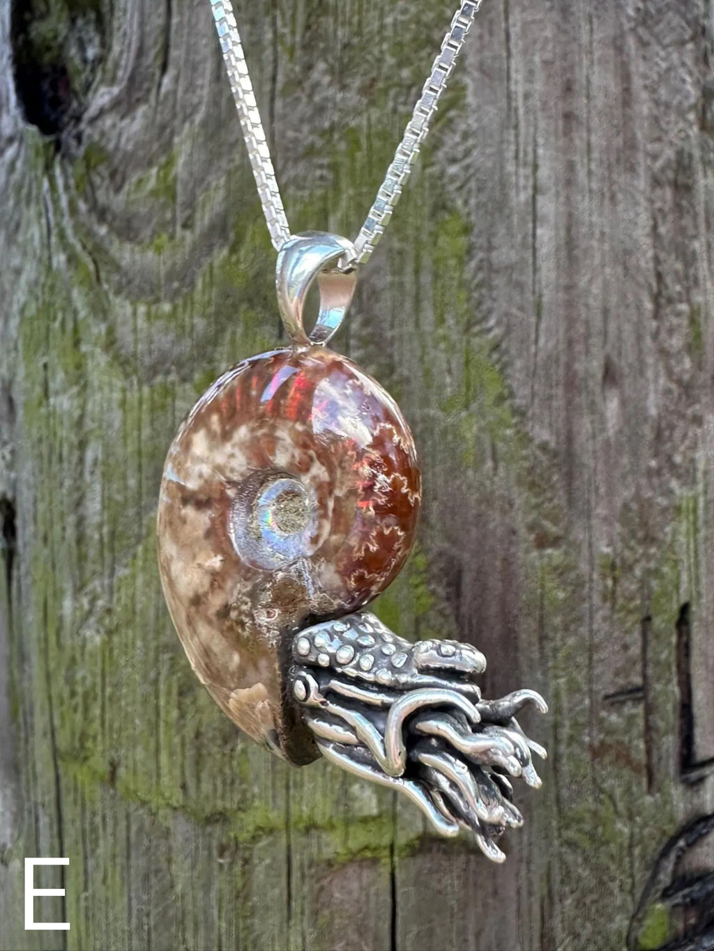 Fossilized Ammonite Nautilus Necklace - Sterling Silver