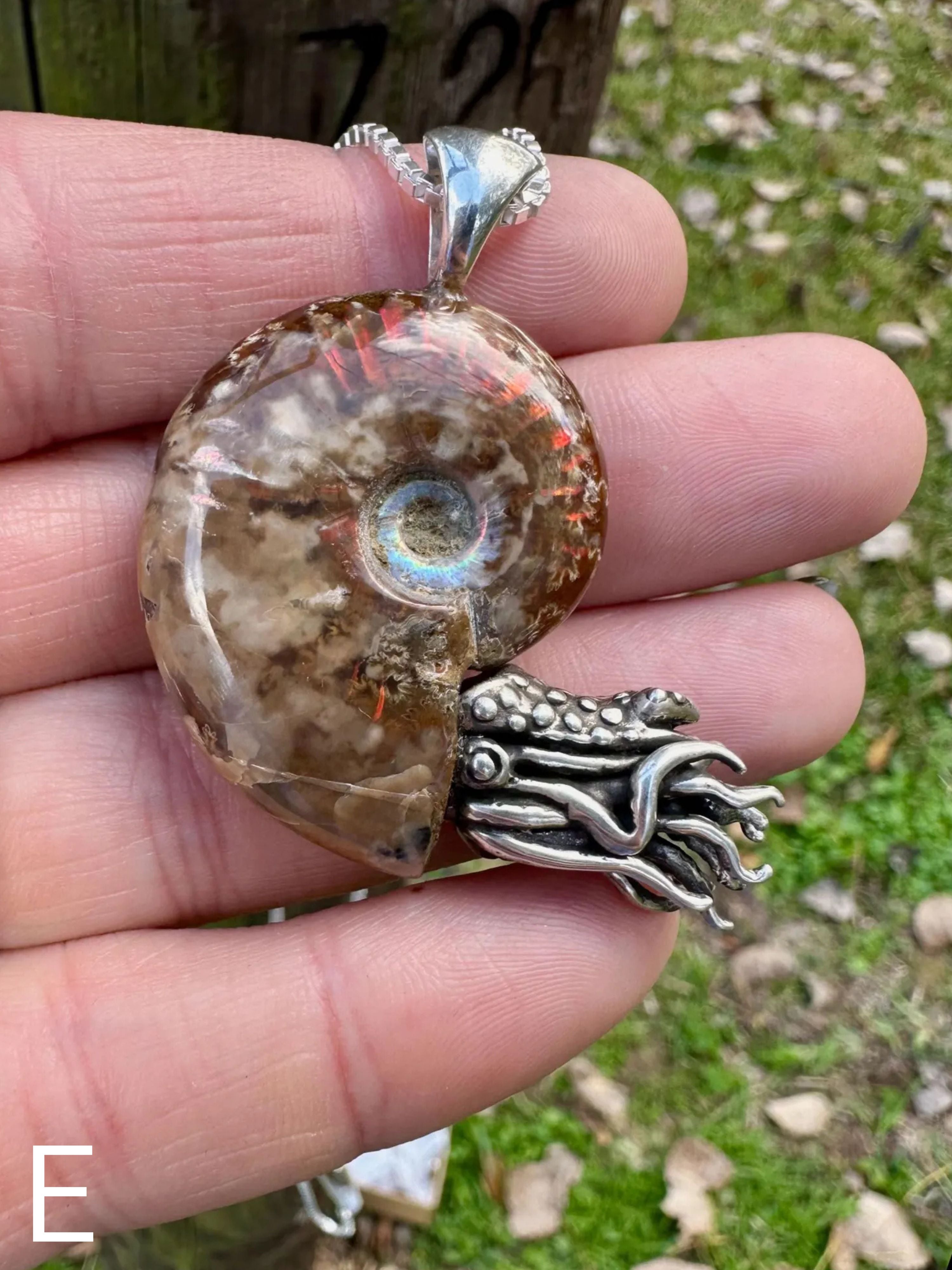 Fossilized Ammonite Nautilus Necklace - Sterling Silver