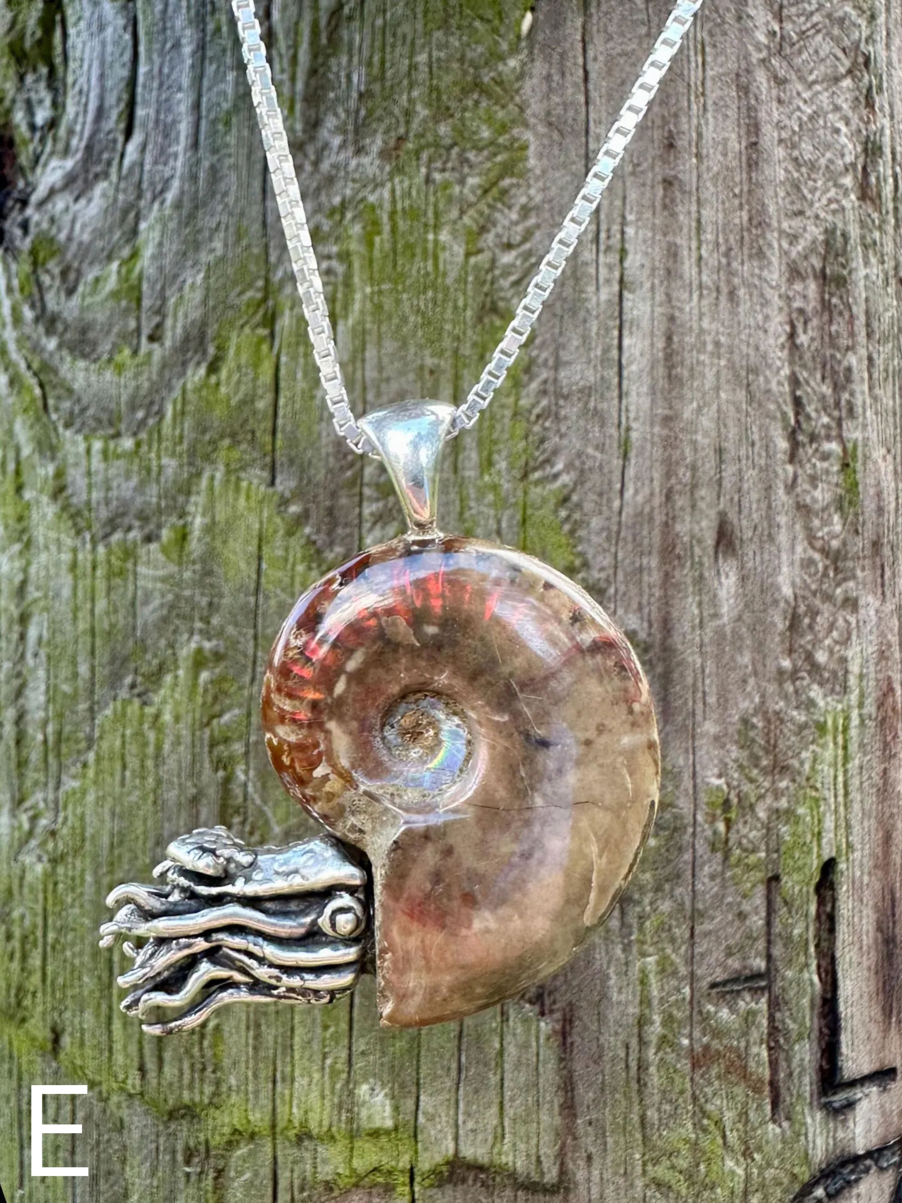 Fossilized Ammonite Nautilus Necklace - Sterling Silver
