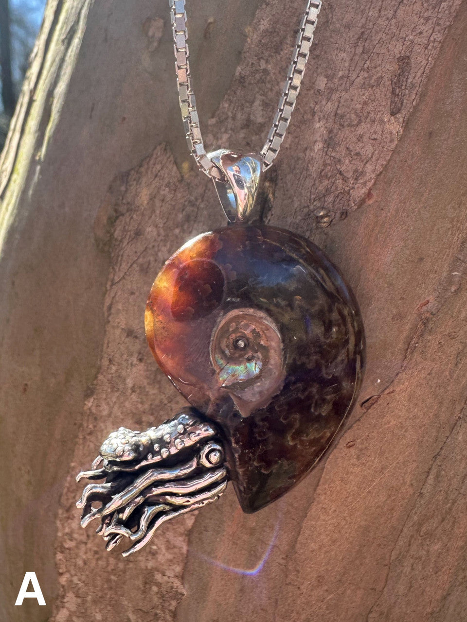 A - Fossilized Ammonite Nautilus Necklace with Amethyst