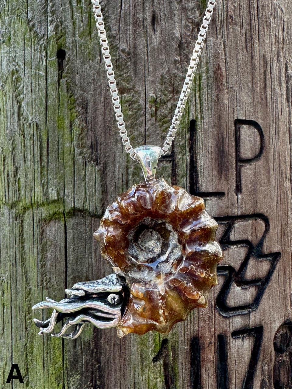 Spiky Fossilized Ammonite Nautilus Pendant
