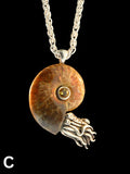 Fossilized Ammonite Nautilus Necklace with Gemstone 2 - Sterling Silver
