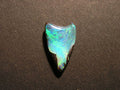 Shark Tooth Australian Boulder Opal