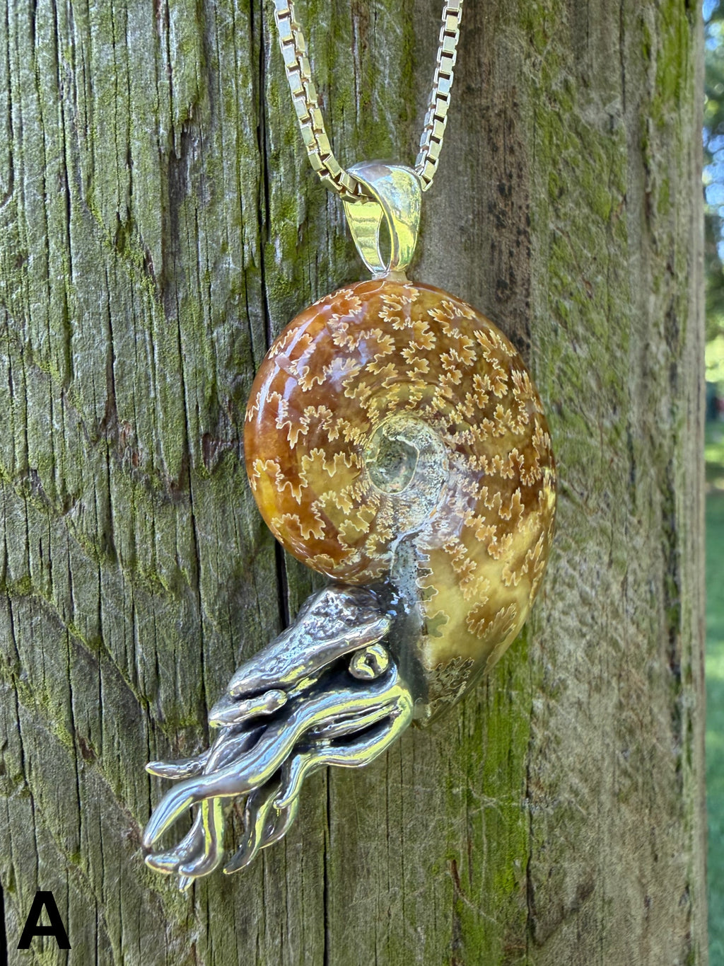 Fossilized Ammonite Nautilus Necklace with Jade Pattern - Sterling Silver