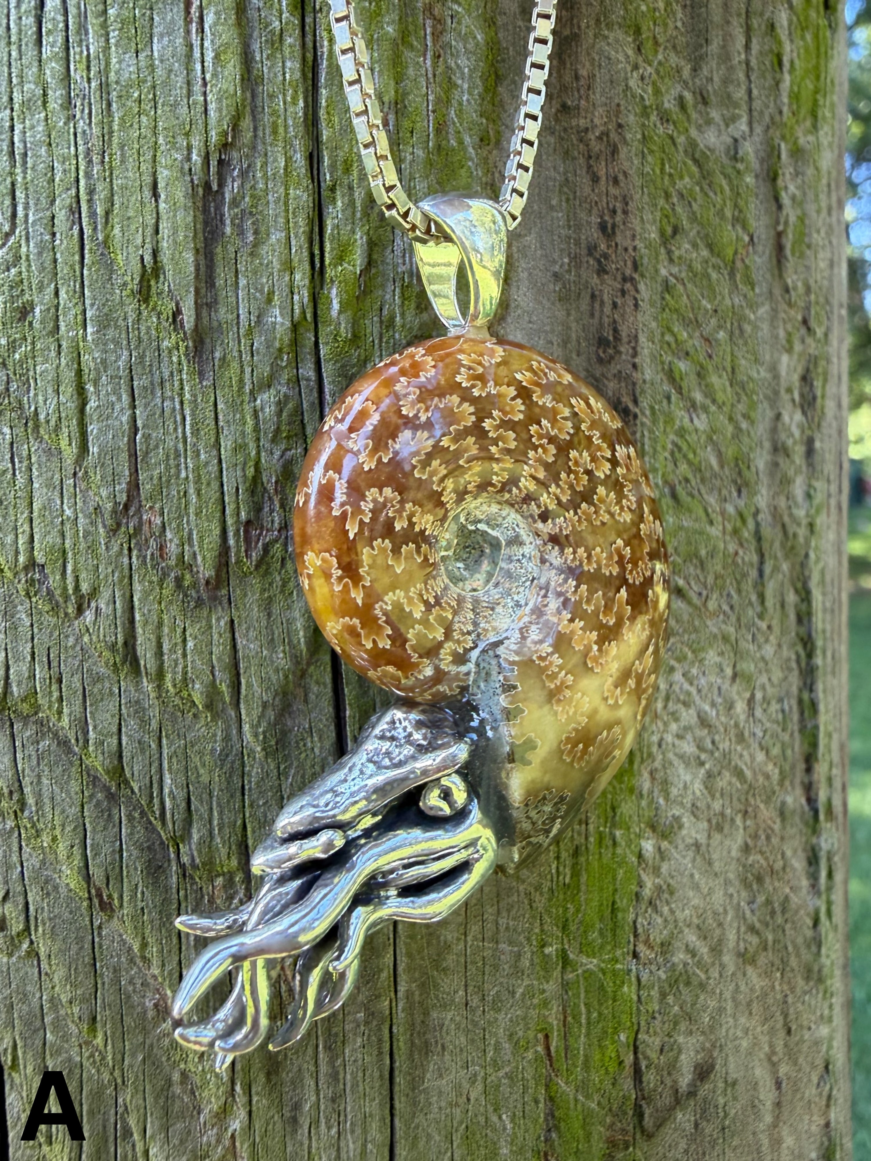 Fossilized Ammonite Nautilus Necklace with Jade Pattern - Sterling Silver