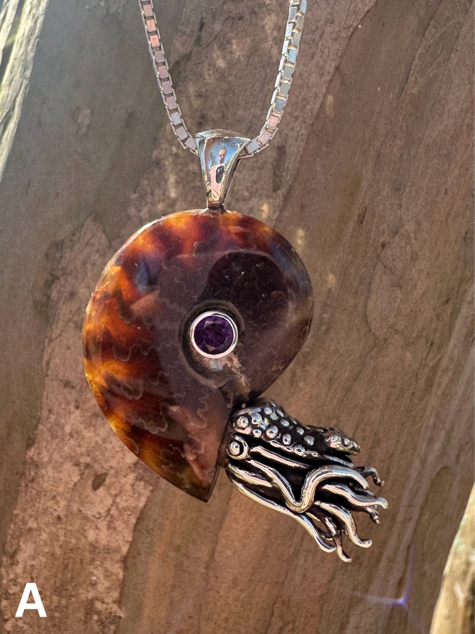 A - Fossilized Ammonite Nautilus Necklace with Amethyst