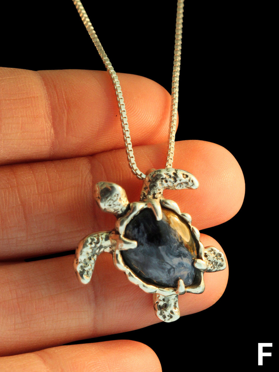 Sea Turtle Option F - Set with Pietersite