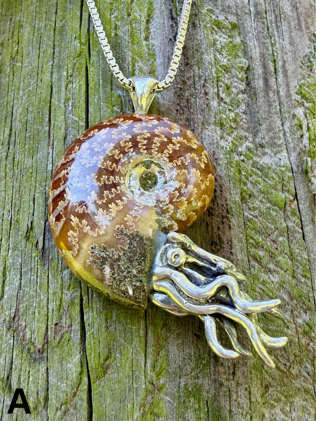 Fossilized Ammonite Nautilus Necklace with Jade Pattern - Sterling Silver