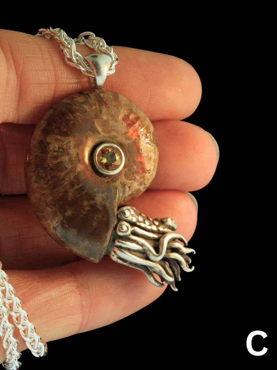 Option C - Fossilized Ammonite Nautilus Necklace - with Gemstone - Silver