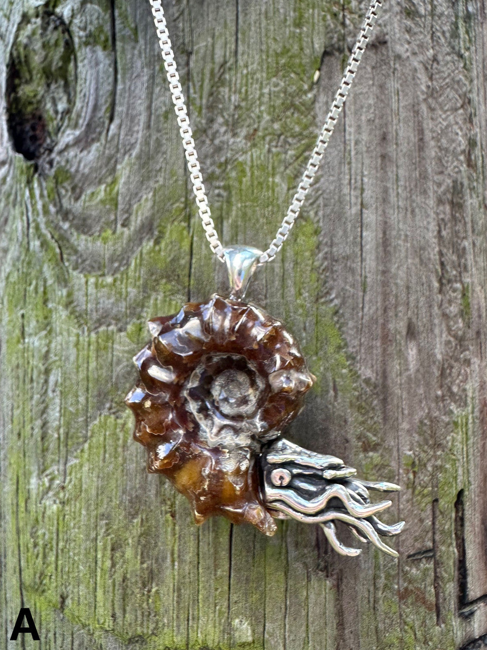 Spiky Fossilized Ammonite Nautilus Pendant