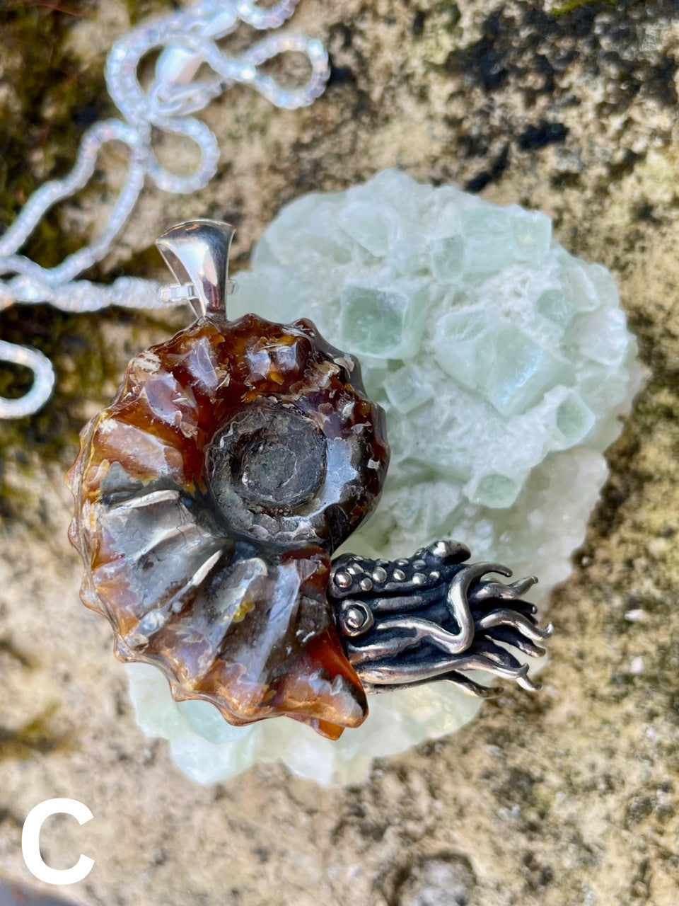 Spiky Fossilized Ammonite Nautilus Pendant