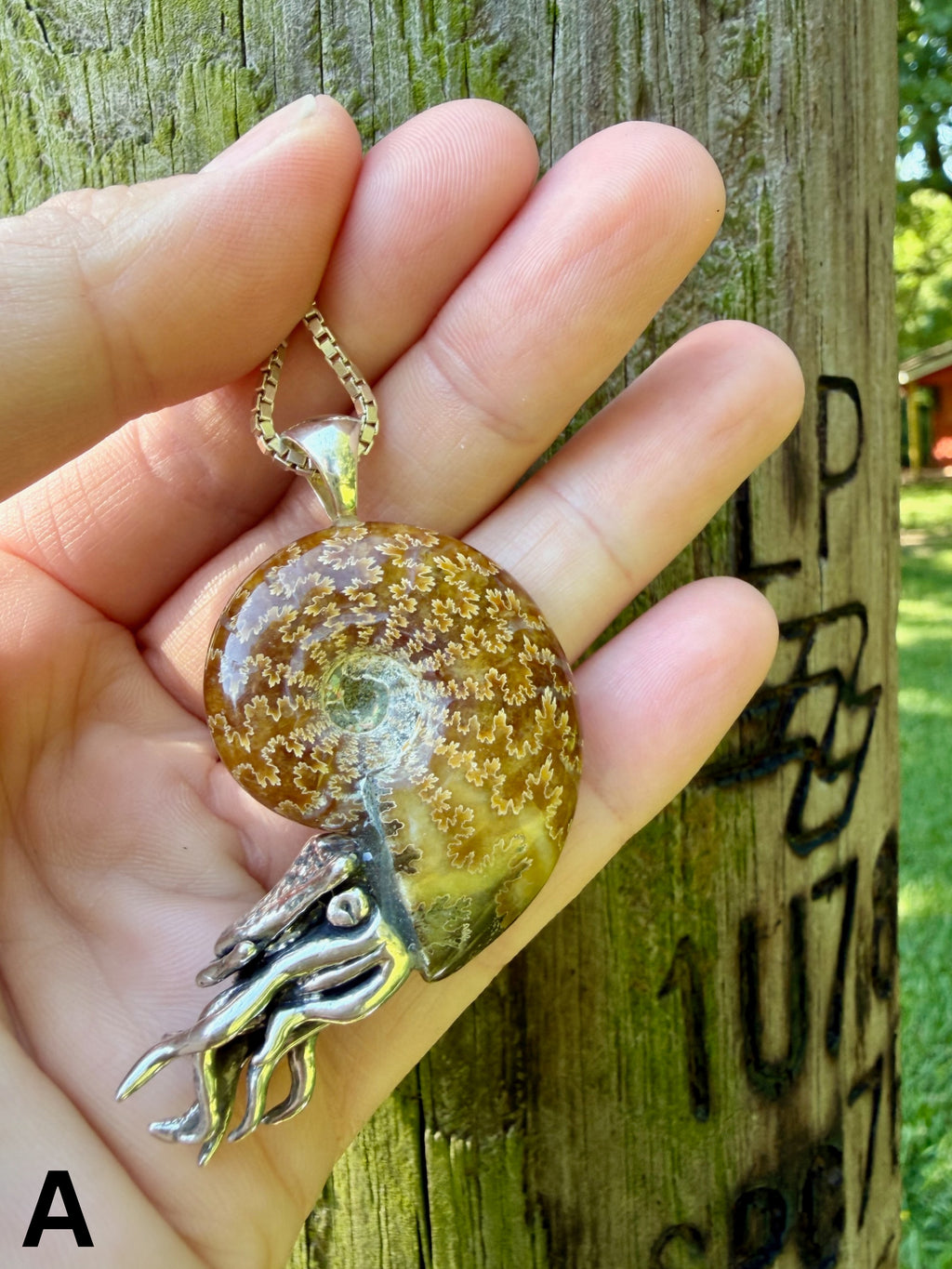 Fossilized Ammonite Nautilus Necklace with Jade Pattern - Sterling Silver