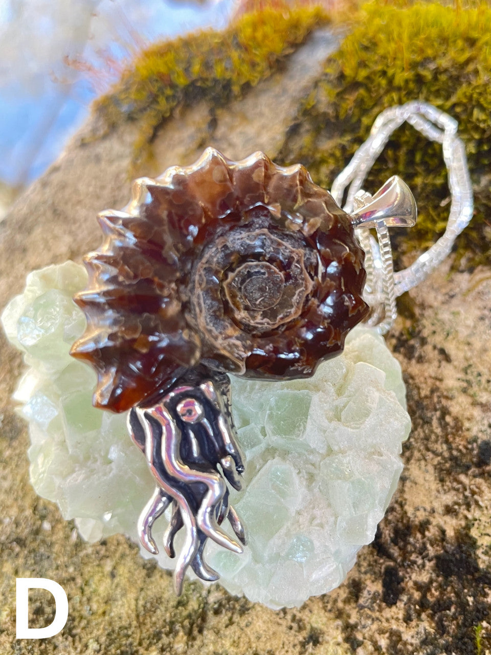 Spiky Fossilized Ammonite Nautilus Pendant