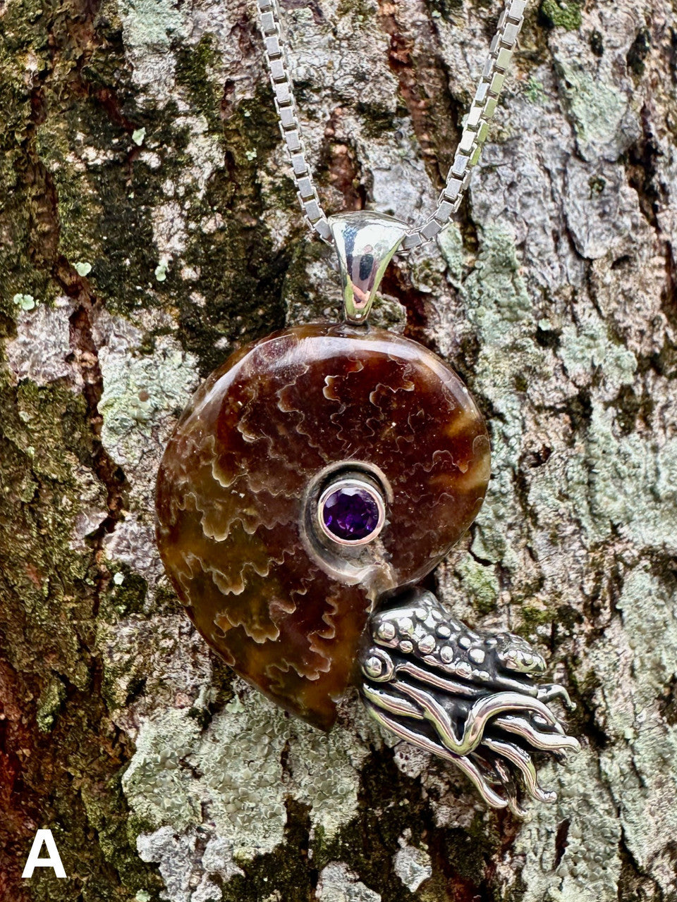 A - Fossilized Ammonite Nautilus Necklace with Amethyst