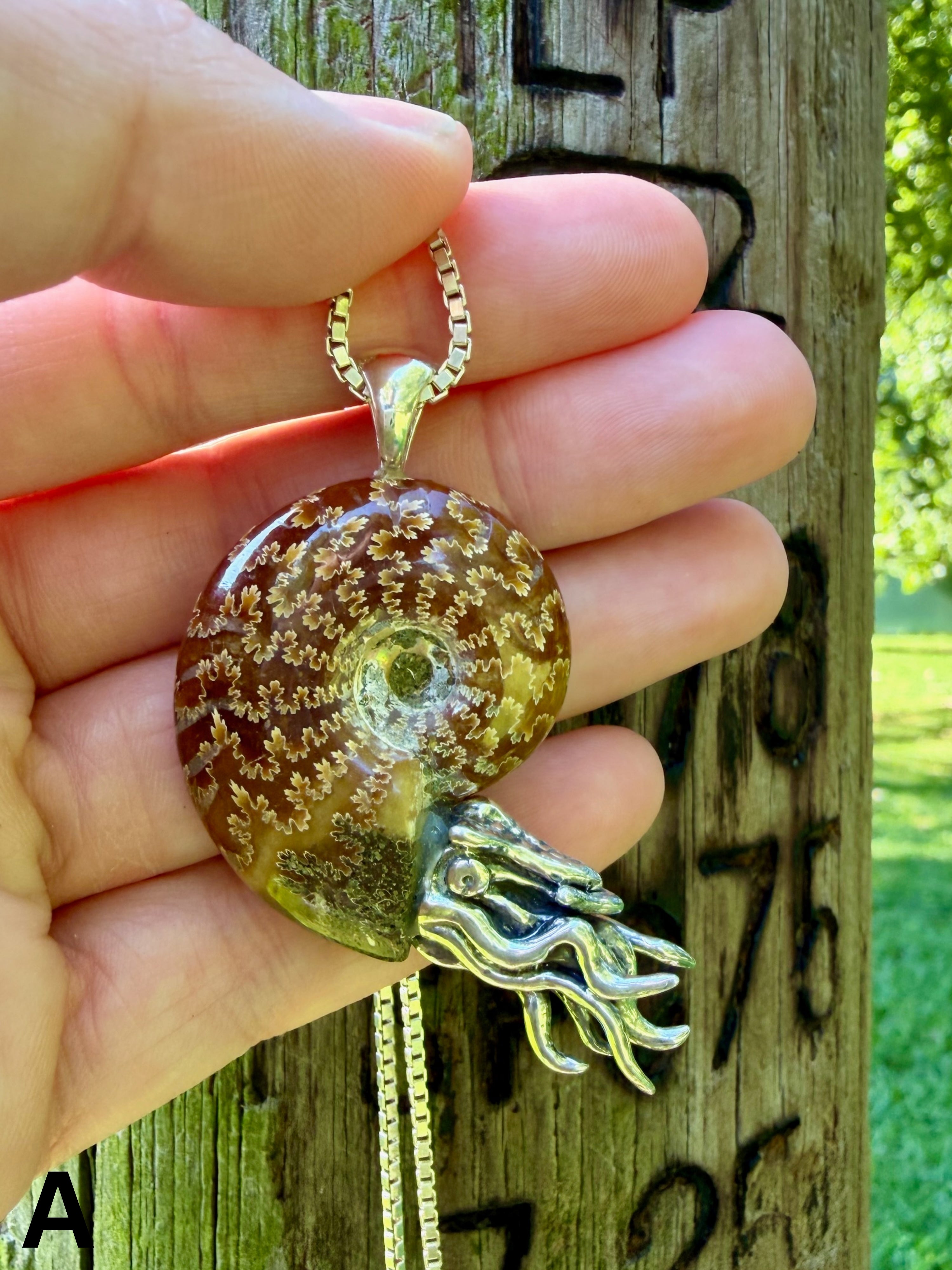 Fossilized Ammonite Nautilus Necklace with Jade Pattern - Sterling Silver
