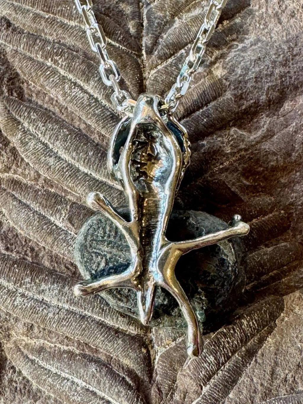 Raven Skull with Trilobite Treasure - Silver
